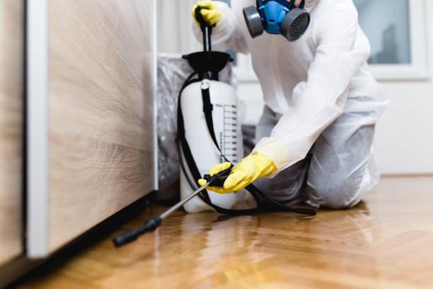Wildlife Control Services in Lagrange, OH