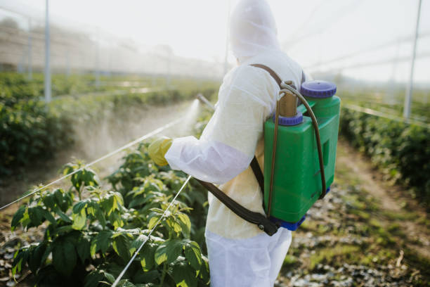 Best Wasp Removal Services  in Lagrange, OH